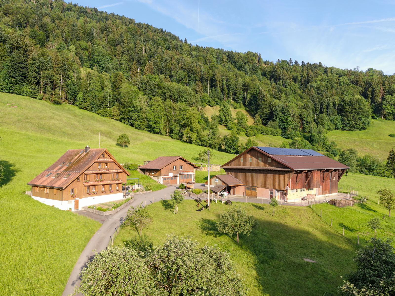 Alpakahof Unterfistern Banner