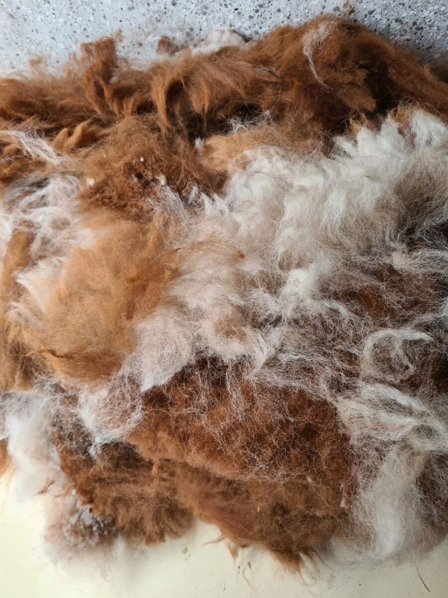 Die Verarbeitung der Wolle